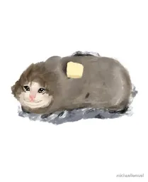 27729