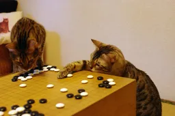95365