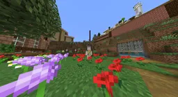 256336