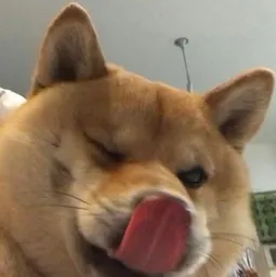 33629